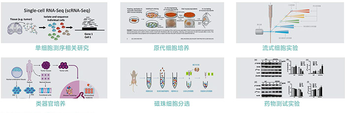 JX-CKSW系列產品應用-700